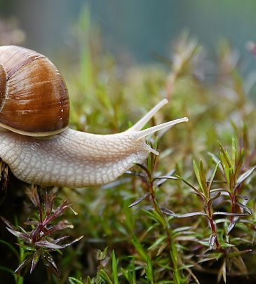 The Ultimate Ethical Hacking Boot Camp